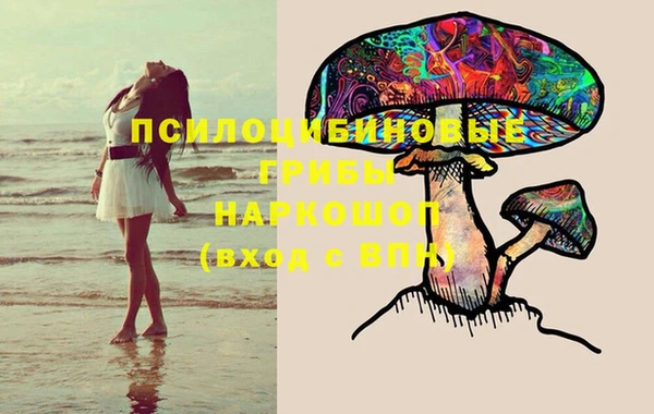 трава Сясьстрой
