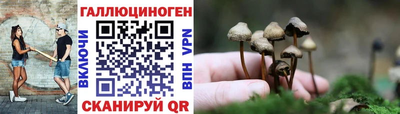 Псилоцибиновые грибы MAGIC MUSHROOMS  купить наркоту  Воскресенск 